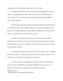 Importancia de la filosofía organizacional (Misión, visión y valores)