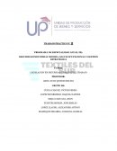 PROGRAMA DE ESPECIALIDAD ANUAL DE: SEGURIDAD INDUSTRIAL MINERA, SALUD OCUPACIONAL Y GESTION ESTRATEGICA