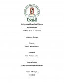 ¿Cómo funcionan los Ecosistemas?