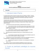 PAC 3 COM FER LA PLANIFICACIÓ ESTRATÈGICA DE RECURSOS HUMANS?