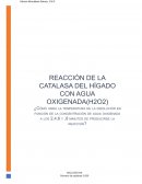Reacción de la catalasa del higado con agua oxigenada