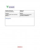 La empresa “Tex-Tex”