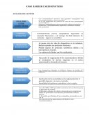 CASO BARBER CARDIOSYSTEMS ANÁLISIS DEL SECTOR