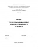 PRESENTE Y EL PASADO DE LA SEGURIDAD CIUDADANA EN VENEZUELA