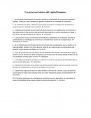 Los procesos del capital humano