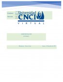 Administracion. Organizaciones Conceptuales-Humanas-Técnicos