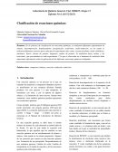 Informe laboratorio. Clasificación de reacciones químicas