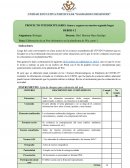 Elaboración de un Post informativo en la plataforma de Wix, parte 1