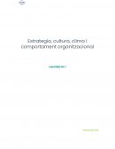 Estrategia, cultura, clima i comportament organitzacional
