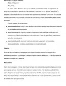 DIBUJO DE LA FIGURA HUMANA