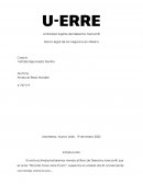 Sujetos del derecho mercantil