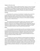 Trabajo en frio de los aceros