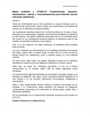 Medio ambiente y COVID-19: Contaminantes, impactos, diseminación, manejo y recomendaciones para enfrentar futuras amenazas epidémicas