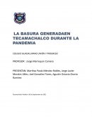 LA BASURA GENERADA EN TECAMACHALCO DURANTE LA PANDEMIA
