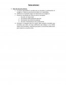 Plan de Mejora - Negociación Multidimensional