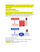 Cuadro de Plan Integral Ejemplo