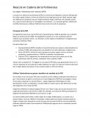 Reacció en Cadena de la Polimerasa PCR