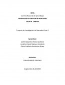 Proyecto de Investigación de Mercados