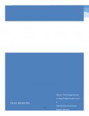 Analisis empresarial Chedraui