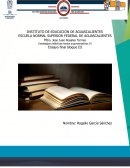Estrategias didácticas textos argumentativos VI