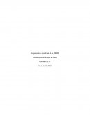 Arquitectura e instalación de un DBMS