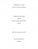 SOCIOLOGIA EMPRESARIAL