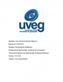 Corrupcion empresa Delicioso