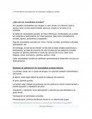 Necesidades psicologicas y sociales