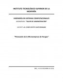 Planeación de la microempresa de Tarugos