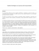 Cambios fisiológicos en el proceso del envejecimiento