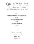VIOLENCIA FAMILIAR EN EL PERÚ