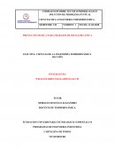 Ferrería Saltarín y Cia. Ltda F.S. Cia. Ltda