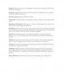 Ciclo de la experiencia. Toma de conciencia: “Estoy sintiendo ansiedad”