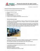 PROCESO DE INYECCION DE VAPOR A POZOS