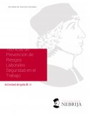 Técnicas de prevención de riesgos laborales . Seguridad en el trabajo