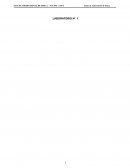 LABORATORIO Nº 1 MEDICIONES Y TEORIA DE ERRORES