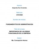 IMPORTANCIA DE LAS ÁREAS FUNCIONALES DE LA EMPRESA
