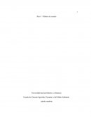 Leer y escrbir para ingresar a la educacion superior