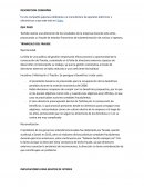 CASO PRACTICO TOSHIBA AUDITORIA DE CUENTAS MARCO LEGAL