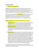 Pensamiento de Platón