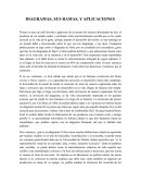 Diagramas, sus ramas y aplicaciones