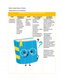 Organización de la Enseñanza