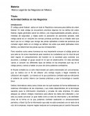 Actividad Delitos en los Negocios