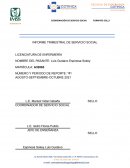 INFORME TRIMESTRAL DE SERVICIO SOCIAL