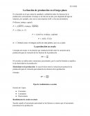 La función de producción en el largo plazo