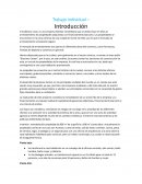 EJEMPLO FINANZAS DE LA EMPRESA - INMOBILIARIA