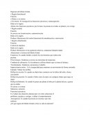 Regiones del lóbulo frontal