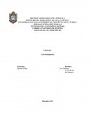 El desarrollo del lenguaje en el niño