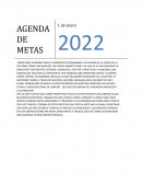 Agenda de metas