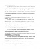 COMPAÑÍA ANÓNIMA (C.A.)